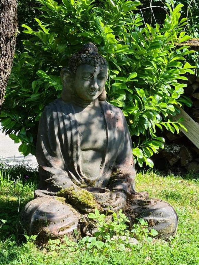 Les Sentiers Du - Domaine De La Gaia Guest house Soreze