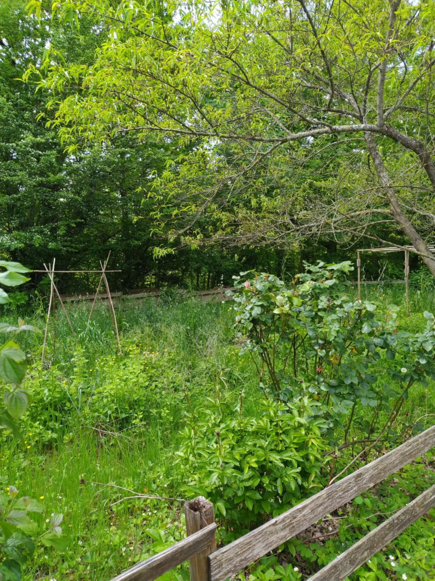 Les Sentiers Du - Domaine De La Gaia * Sorèze